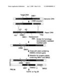 METHODS AND MEANS FOR REMOVAL OF A SELECTED DNA SEQUENCE diagram and image