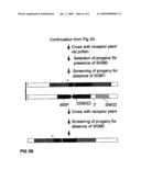 METHODS AND MEANS FOR REMOVAL OF A SELECTED DNA SEQUENCE diagram and image