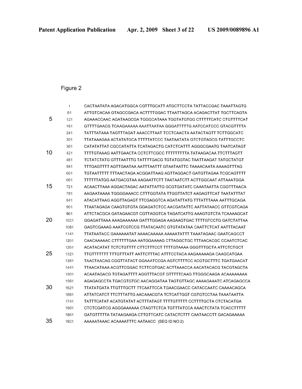 PLANT METABOLITE EXPORTER GENE PROMOTERS - diagram, schematic, and image 04