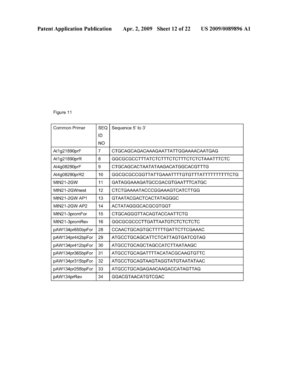 PLANT METABOLITE EXPORTER GENE PROMOTERS - diagram, schematic, and image 13