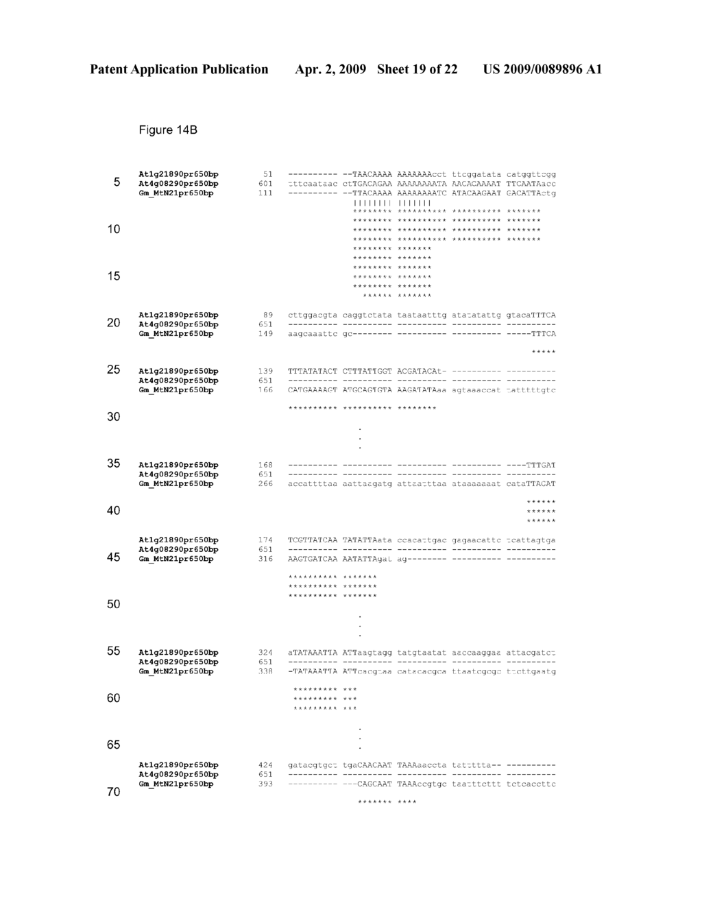 PLANT METABOLITE EXPORTER GENE PROMOTERS - diagram, schematic, and image 20