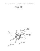 METHOD AND A DEVICE FOR DETECTING GENES diagram and image