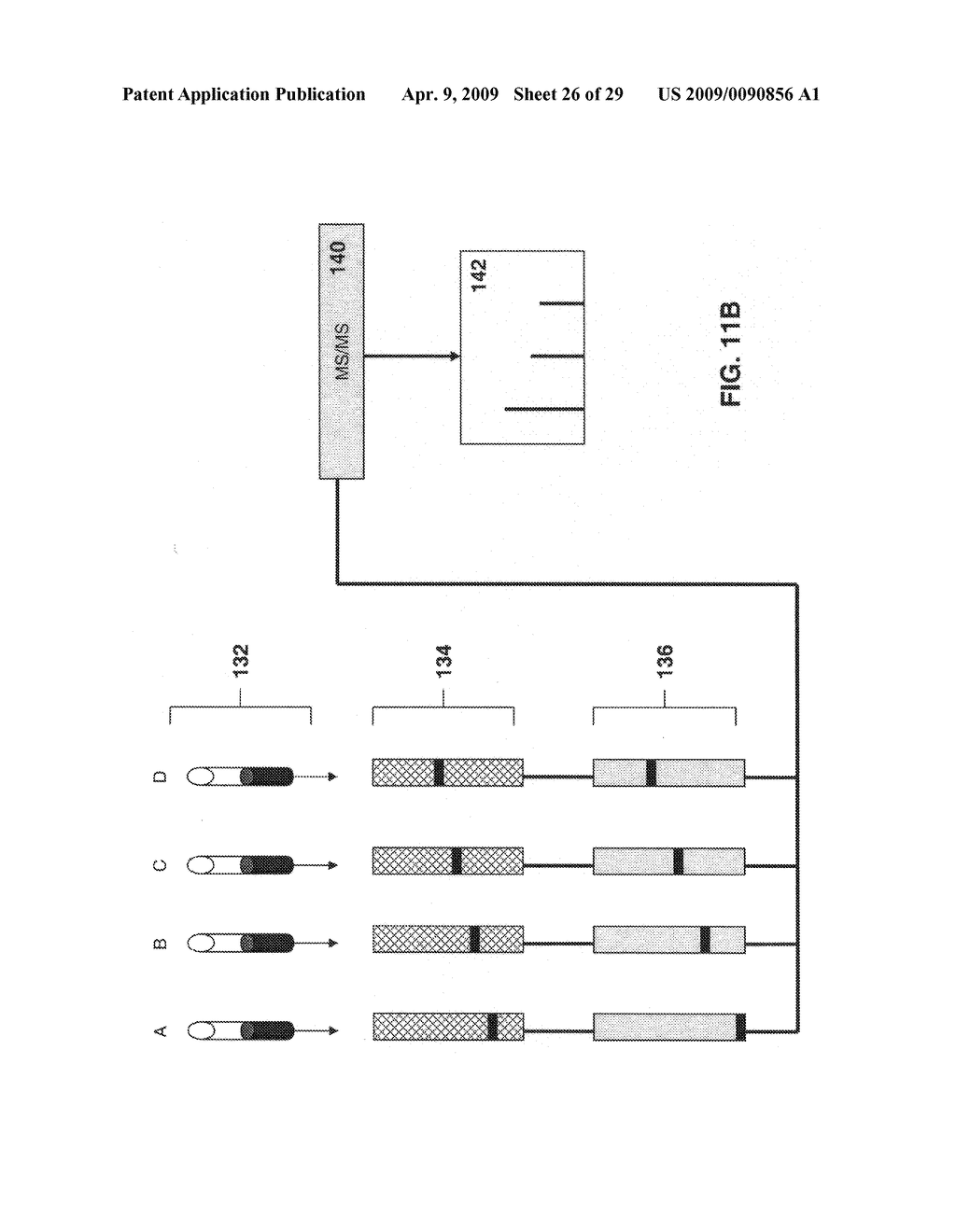 Methods and systems for quantification of peptides and other analytes - diagram, schematic, and image 27