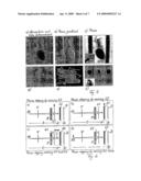 Interferometer for quantitative phase contrast imaging and tomography with an incoherent polychromatic x-ray source diagram and image