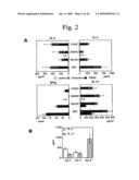 Methods of treating and preventing inflammatory bowel disease involving il-13 and nkt cells diagram and image