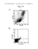 Methods of treating and preventing inflammatory bowel disease involving il-13 and nkt cells diagram and image