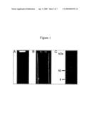 Octameric Protein For Use In Bionanotechnology Applications diagram and image