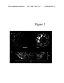 Octameric Protein For Use In Bionanotechnology Applications diagram and image