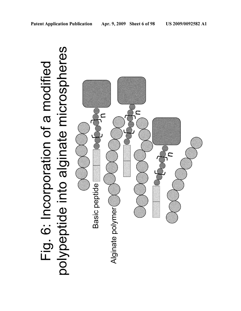 Compositions and methods for modifying properties of biologically active polypeptides - diagram, schematic, and image 07