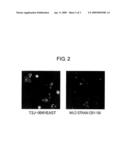 BRAIN-LOCALIZING CELLS AND USES THEREOF diagram and image