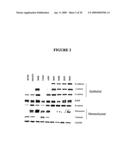 Biological markers predictive of anti-cancer response to insulin-like growth factor-1 receptor kinase inhibitors diagram and image