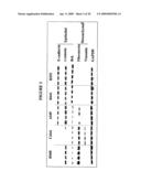 Biological markers predictive of anti-cancer response to insulin-like growth factor-1 receptor kinase inhibitors diagram and image