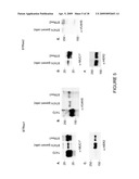 EARLY DIAGNOSIS AND TREATMENT OF DRUG RESISTANCE IN MUC1-POSITIVE CANCER diagram and image