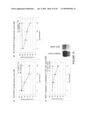 EARLY DIAGNOSIS AND TREATMENT OF DRUG RESISTANCE IN MUC1-POSITIVE CANCER diagram and image