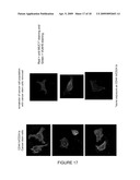 EARLY DIAGNOSIS AND TREATMENT OF DRUG RESISTANCE IN MUC1-POSITIVE CANCER diagram and image