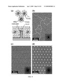 SELF-ASSEMBLY TECHNIQUE APPLICABLE TO LARGE AREAS AND NANOFABRICATION diagram and image