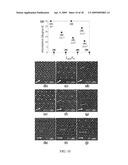 SELF-ASSEMBLY TECHNIQUE APPLICABLE TO LARGE AREAS AND NANOFABRICATION diagram and image