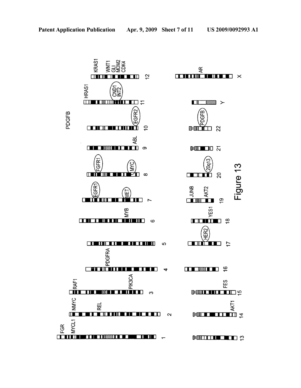 Cellular arrays and methods of detecting and using genetic disorder markers - diagram, schematic, and image 08