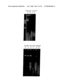 METHOD FOR DETECTION OF MICROORGANISM AND KIT FOR DETECTION OF MICROORGANISM diagram and image