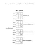 METHOD FOR DETECTION OF MICROORGANISM AND KIT FOR DETECTION OF MICROORGANISM diagram and image