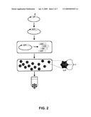 PRODUCTION AND IN VIVO ASSEMBLY OF SOLUBLE RECOMBINANT ICOSAHEDRAL VIRUS-LIKE PARTICLES diagram and image