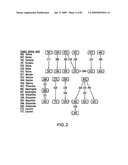 Methods of generating libraries and uses thereof diagram and image