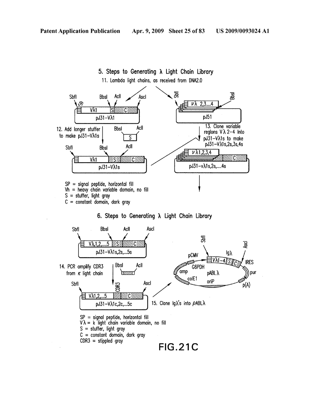 Methods of generating libraries and uses thereof - diagram, schematic, and image 26