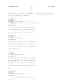 Twin-arginine translocation in Bacillus diagram and image