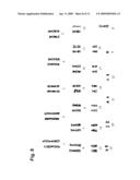 CRYOPRESERVATION OF HUMAN BLASTOCYST-DERIVED STEM CELLS BY USE OF A CLOSED STRAW VITRIFICATION METHOD diagram and image