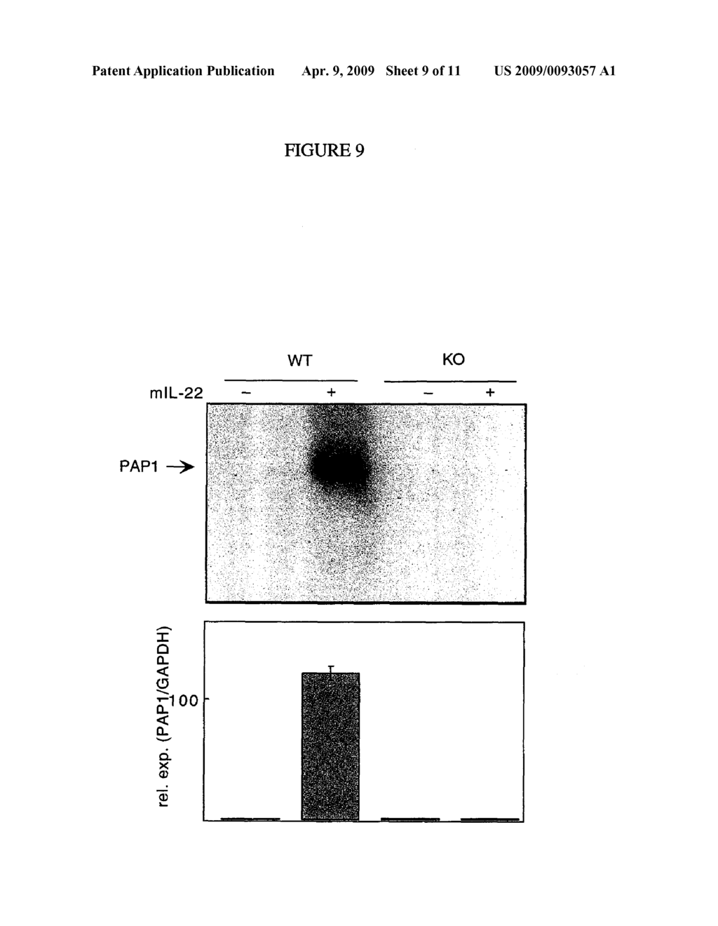 Interleukin-22 polypeptides, nucleic acids encoding the same and methods for the treatment of pancreatic disorders - diagram, schematic, and image 10