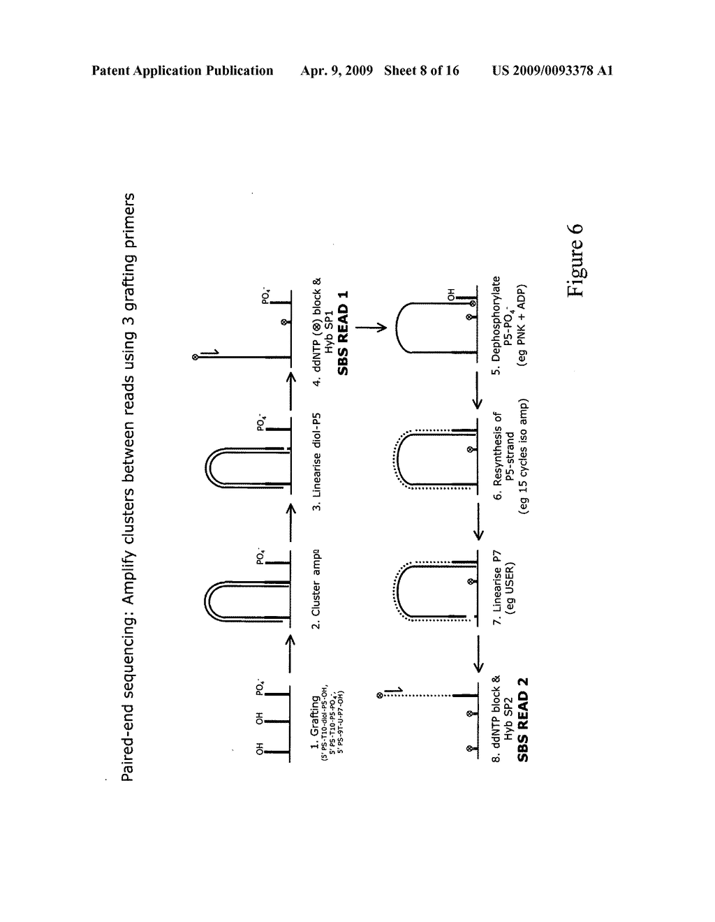 Method for sequencing a polynucleotide template - diagram, schematic, and image 09