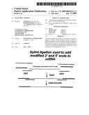 SENSE mRNA THERAPY diagram and image