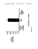 SENSE mRNA THERAPY diagram and image