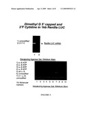 SENSE mRNA THERAPY diagram and image