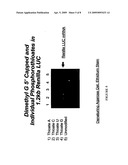 SENSE mRNA THERAPY diagram and image