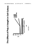 SENSE mRNA THERAPY diagram and image