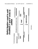 SENSE mRNA THERAPY diagram and image