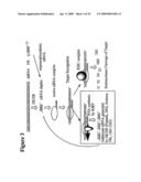 RNA INTERFERENCE MEDIATED INHIBITION OF XIAP GENE EXPRESSION USING SHORT INTERFERING NUCLEIC ACID (siNA) diagram and image