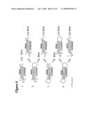 RNA INTERFERENCE MEDIATED INHIBITION OF XIAP GENE EXPRESSION USING SHORT INTERFERING NUCLEIC ACID (siNA) diagram and image