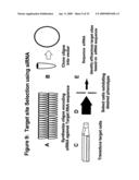 RNA INTERFERENCE MEDIATED INHIBITION OF XIAP GENE EXPRESSION USING SHORT INTERFERING NUCLEIC ACID (siNA) diagram and image