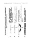 RNA INTERFERENCE MEDIATED INHIBITION OF XIAP GENE EXPRESSION USING SHORT INTERFERING NUCLEIC ACID (siNA) diagram and image