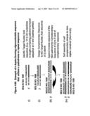 RNA INTERFERENCE MEDIATED INHIBITION OF XIAP GENE EXPRESSION USING SHORT INTERFERING NUCLEIC ACID (siNA) diagram and image