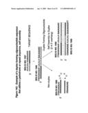 RNA INTERFERENCE MEDIATED INHIBITION OF XIAP GENE EXPRESSION USING SHORT INTERFERING NUCLEIC ACID (siNA) diagram and image