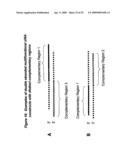 RNA INTERFERENCE MEDIATED INHIBITION OF XIAP GENE EXPRESSION USING SHORT INTERFERING NUCLEIC ACID (siNA) diagram and image