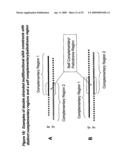 RNA INTERFERENCE MEDIATED INHIBITION OF XIAP GENE EXPRESSION USING SHORT INTERFERING NUCLEIC ACID (siNA) diagram and image