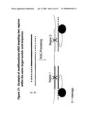 RNA INTERFERENCE MEDIATED INHIBITION OF XIAP GENE EXPRESSION USING SHORT INTERFERING NUCLEIC ACID (siNA) diagram and image