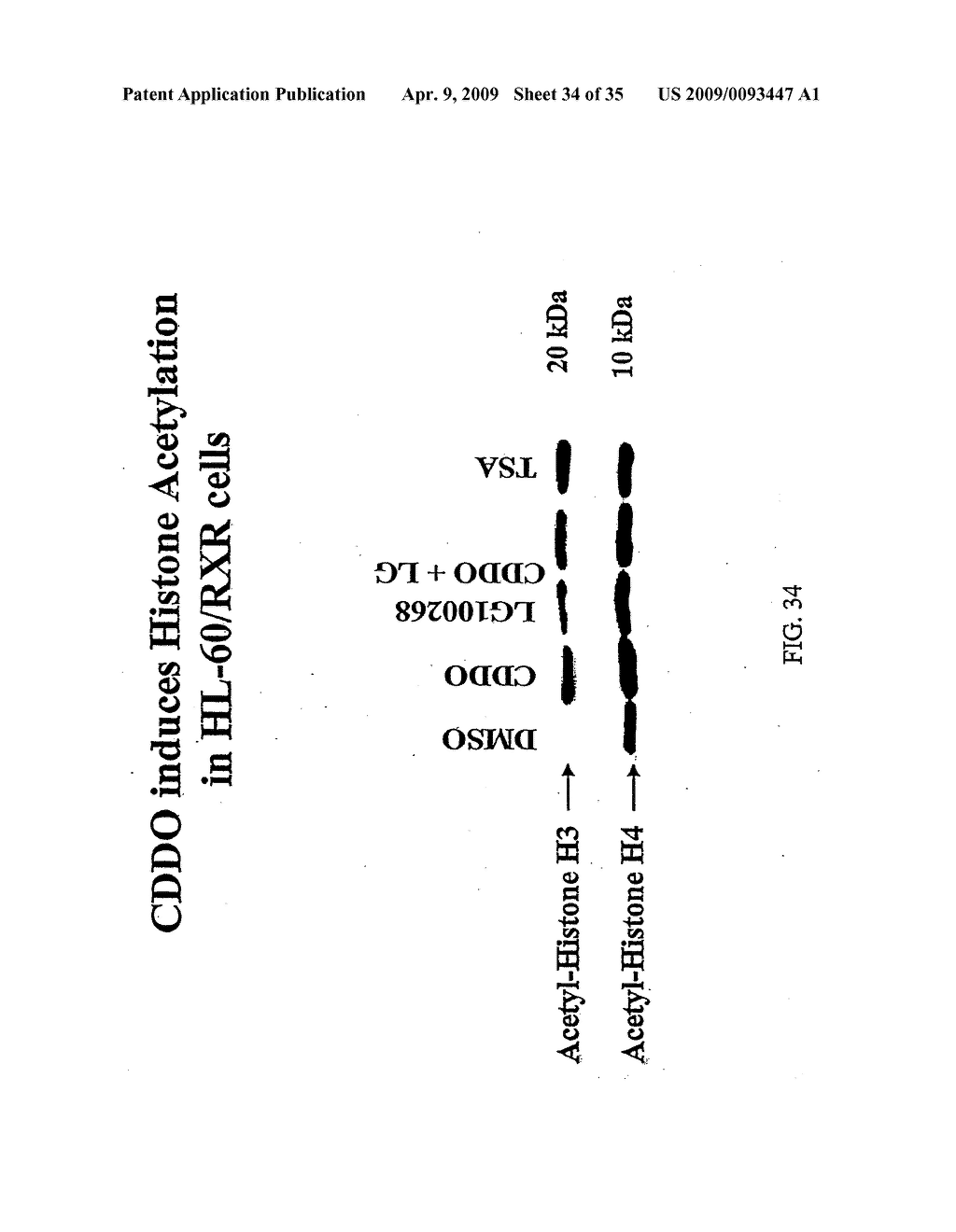 CDDO-COMPOUNDS AND COMBINATION THERAPIES THEREOF - diagram, schematic, and image 35