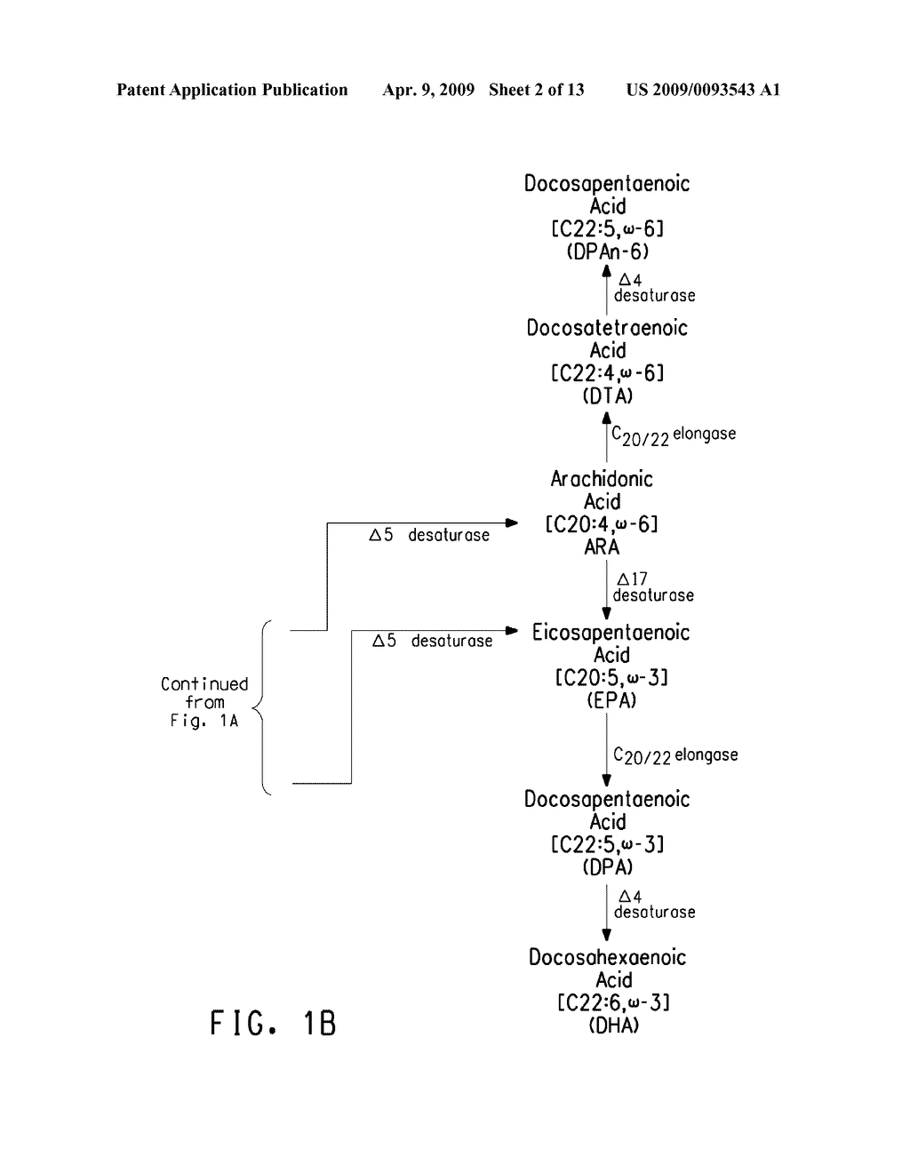 OPTIMIZED STRAINS OF YARROWIA LIPOLYTICA FOR HIGH EICOSAPENTAENOIC ACID PRODUCTION - diagram, schematic, and image 03