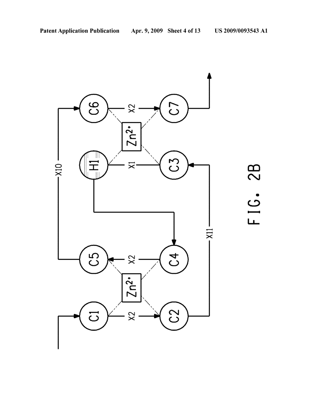 OPTIMIZED STRAINS OF YARROWIA LIPOLYTICA FOR HIGH EICOSAPENTAENOIC ACID PRODUCTION - diagram, schematic, and image 05