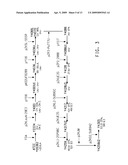 OPTIMIZED STRAINS OF YARROWIA LIPOLYTICA FOR HIGH EICOSAPENTAENOIC ACID PRODUCTION diagram and image